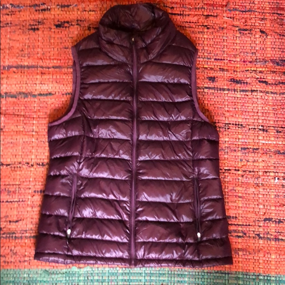 Aritzia puffer vest